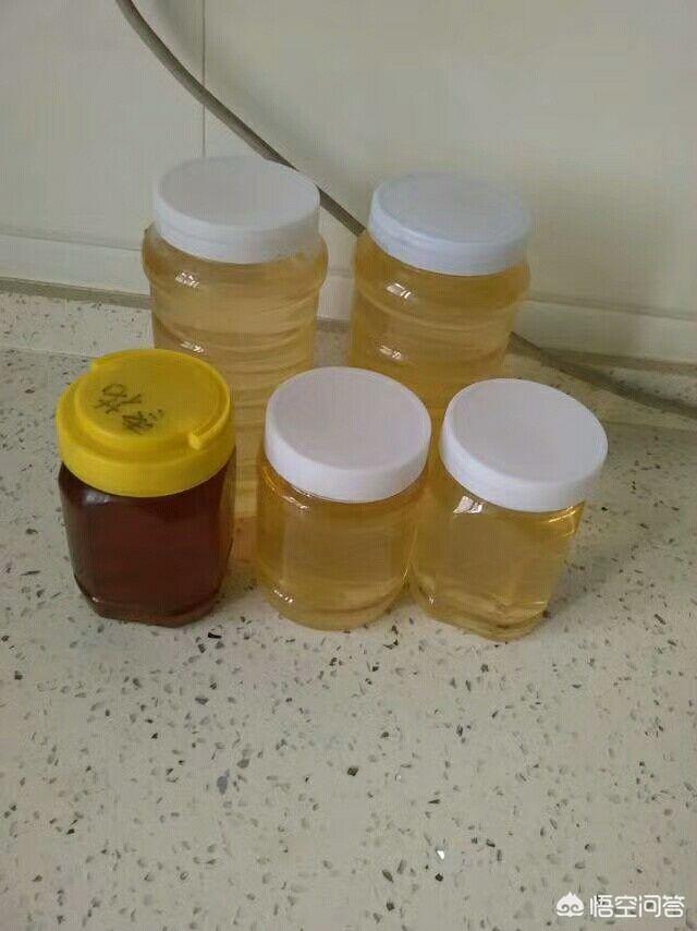 蜂蜜怎么会有泡泡,蜂蜜怎么会起白色泡沫