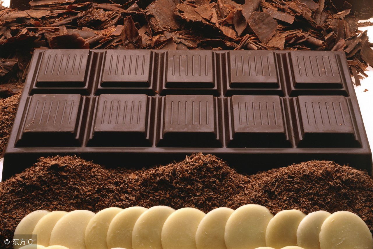 对狗狗致命的食物排名,狗狗误食食物怎么处理