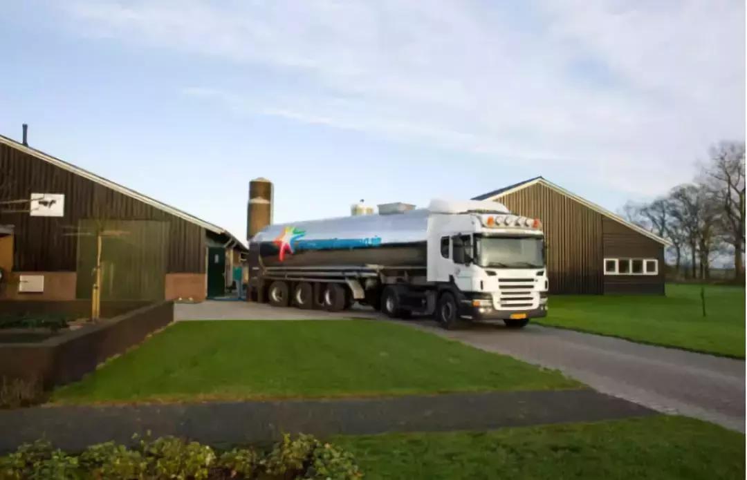 荷兰牛奶变奶粉,荷兰牛乳怎么变成奶粉