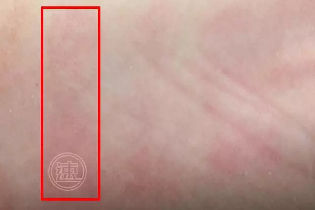ipsa口红哪个好用,ipsa口红推荐色号