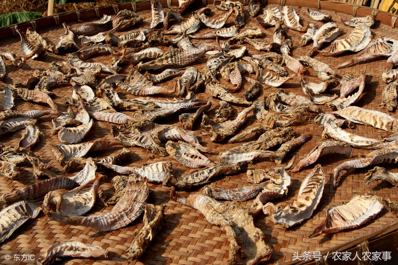 笋干的制作过程,赣南笋干的家常做法