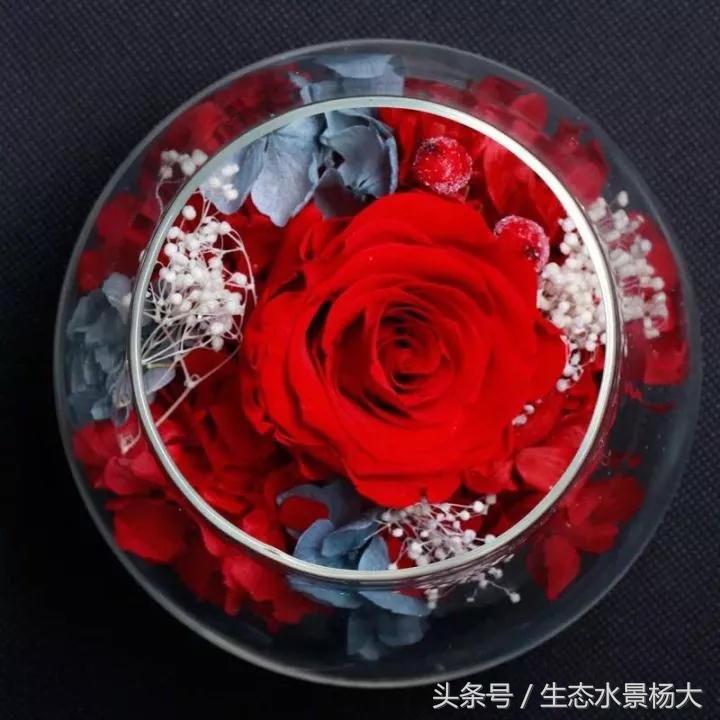 家里多余的闲置鱼缸,家里的空鱼缸处理方法