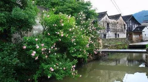 老街承载的记忆,老街时光的印记