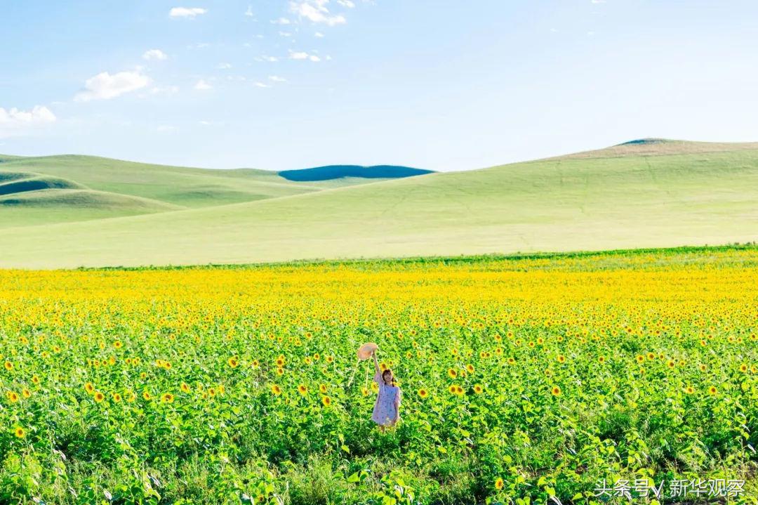 夏天大草原旅行 (夏天旅行大草原)