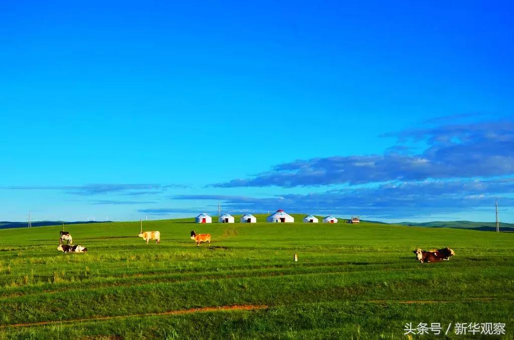 夏天大草原旅行 (夏天旅行大草原)