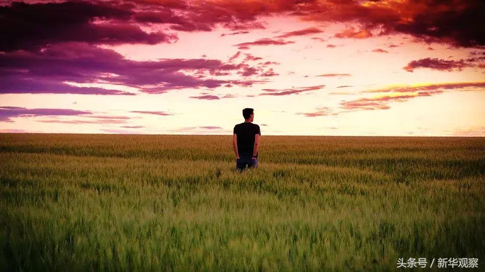 夏天大草原旅行 (夏天旅行大草原)