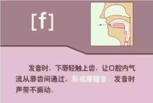 音标教学视频48个,夏沫英语48个音标教学视频