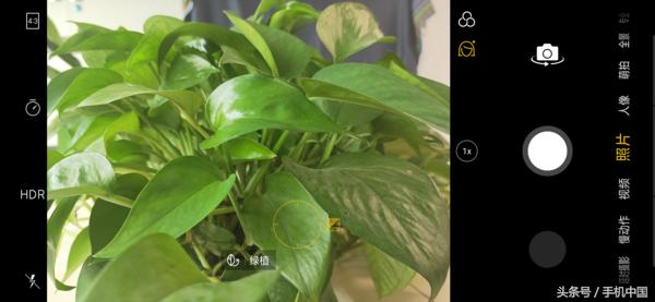 opporeno和r17哪个好,oppor17现在还值得买吗