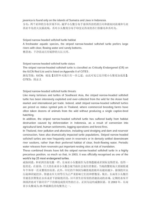 科普龟类知识视频展示,所有龟鳖类动物