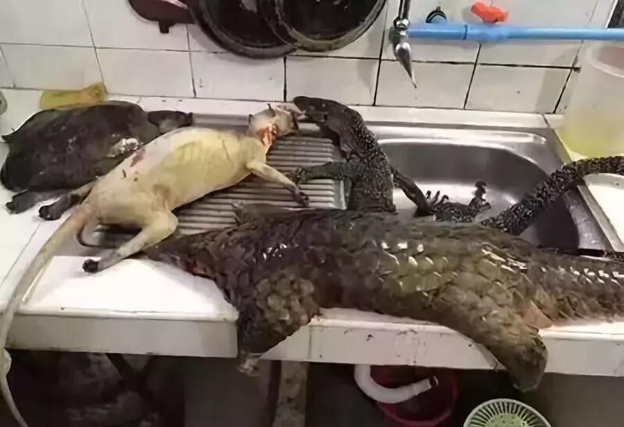 朋友圈代购真实案例,揭露各种海外代购真相