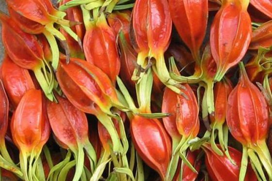 心烦不安失眠口苦吃什么药,失眠口干口苦怎么调