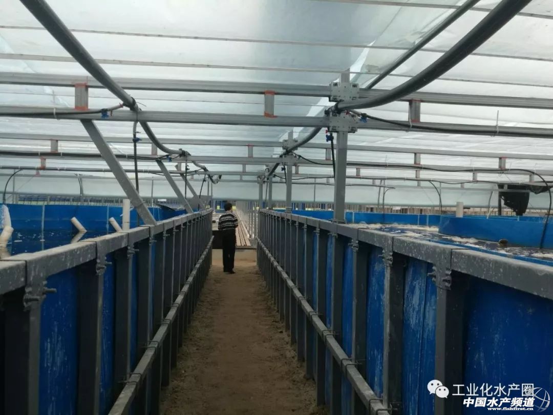 水产高密度养殖循环水系统,大棚高密度水产循环水养殖