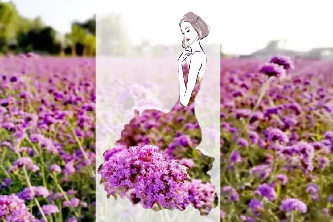 赞！这个20岁女孩把阜阳穿到了身上，竟然还美成这样