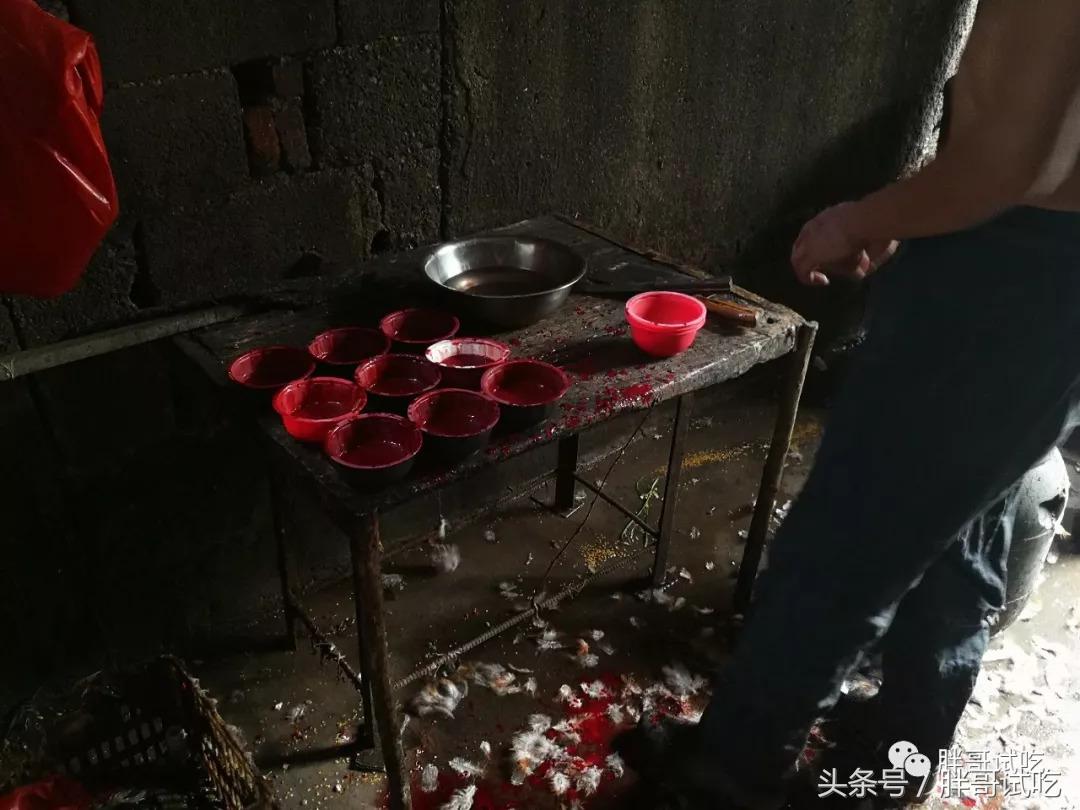 胖哥试吃大煎饼,胖哥试吃骰子糖