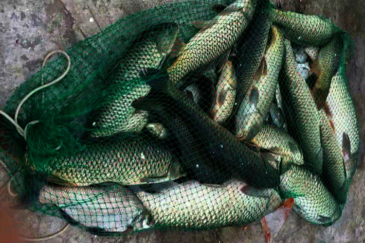 钓鱼水底有酱层这怎么解决,钓鱼碰到酱层的技巧