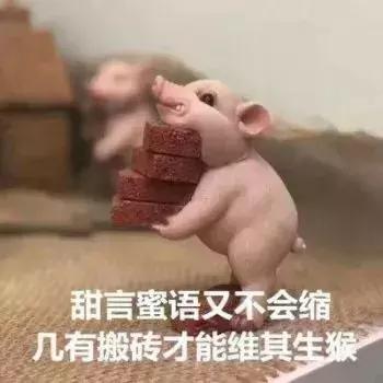 香奈儿好一点还是skii好一点,香奈儿和sk-ii哪个更好用