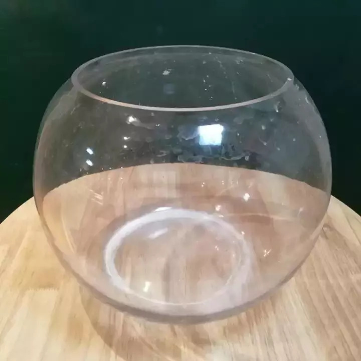 困扰了千万人的问题终于有答案,困扰人类500年的马桶难题