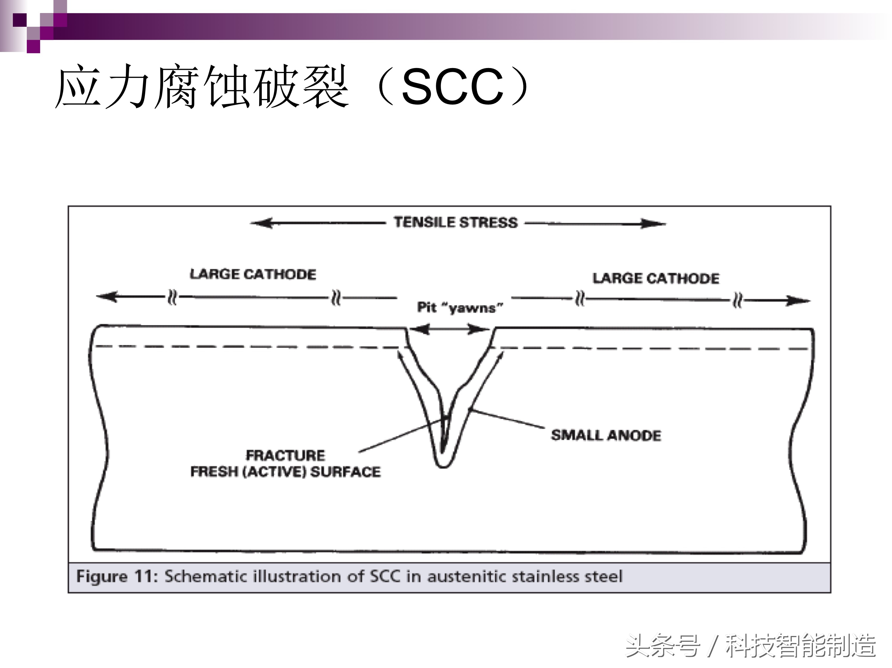 不锈钢腐蚀真实案例,不锈钢腐蚀机理及防腐措施
