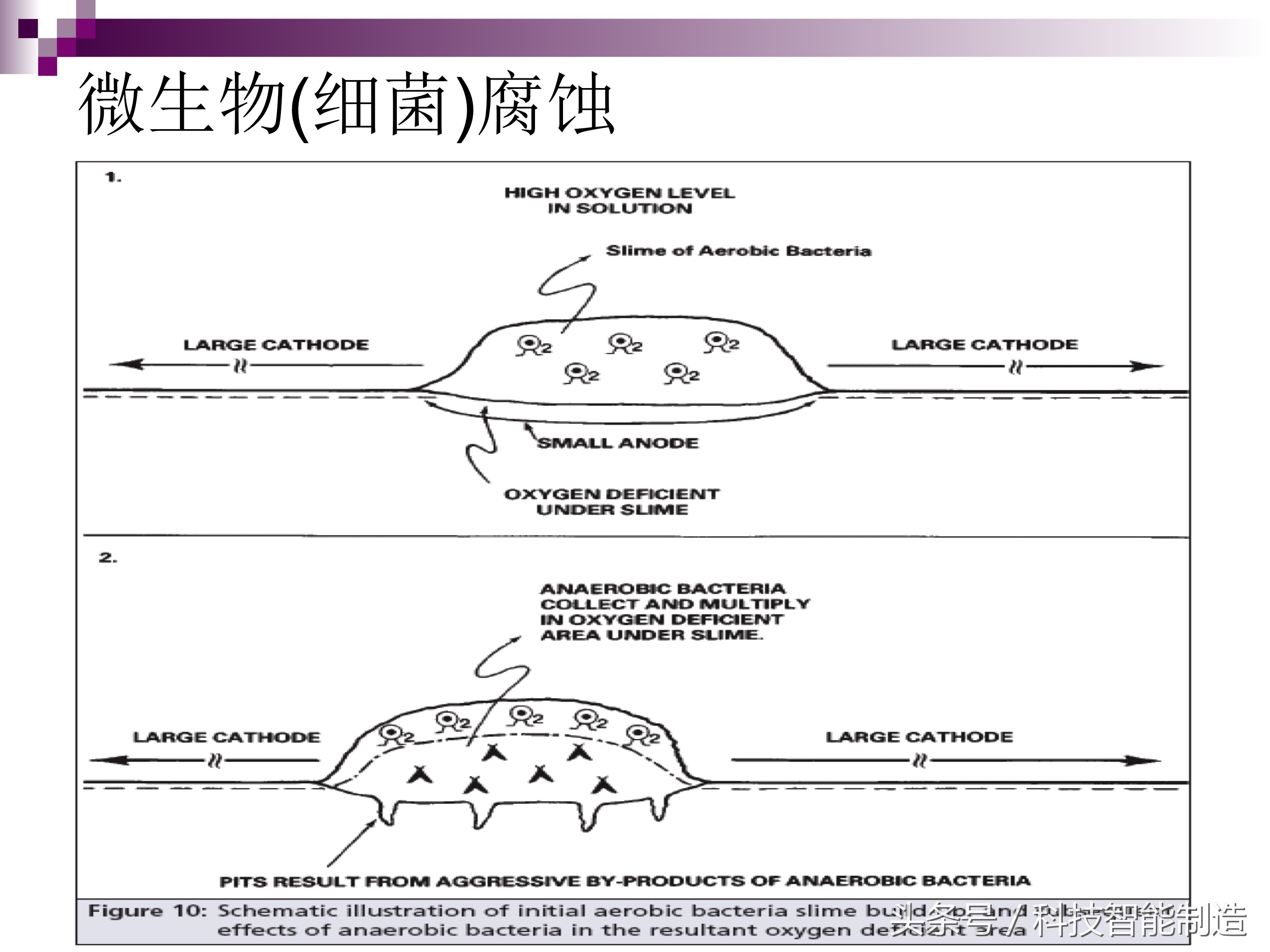 不锈钢腐蚀真实案例,不锈钢腐蚀机理及防腐措施