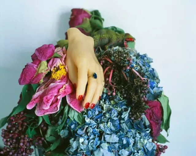 兰波与花朵｜这朵花的名字叫做“名字”