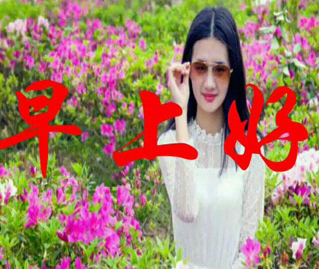 微信早安动态表情图片大全集,群主群友们早上好带字动态表情