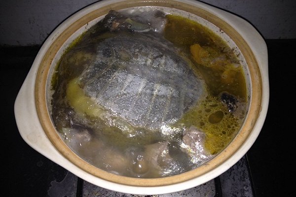 冬天甲鱼怎么样放才不死,这个季节甲鱼适合怎么吃