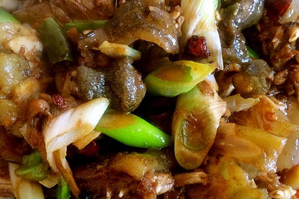 冬天甲鱼怎么样放才不死,这个季节甲鱼适合怎么吃