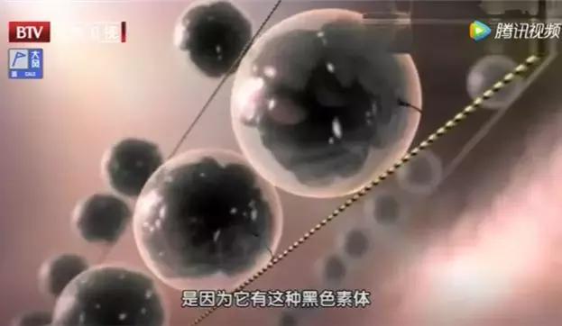 这四种痣会癌变赶紧来了解一下,这5种癌及早发现同样能治愈