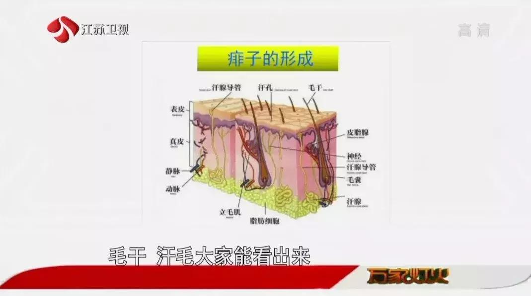 季节更替怎么预防皮肤病,皮肤病痒疹的关注事项