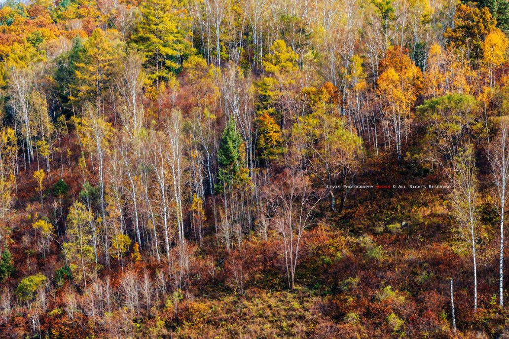 这些绝美小黄片，已经陆续在全国上线，找个时间去扫黄吧
