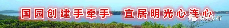 紧急提醒！这些月饼，别买别吃,曝光这些月饼不合格别买别吃