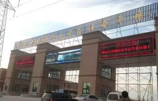 开海了！抖音上的小姐姐，来烟台吧！海鲜管够……