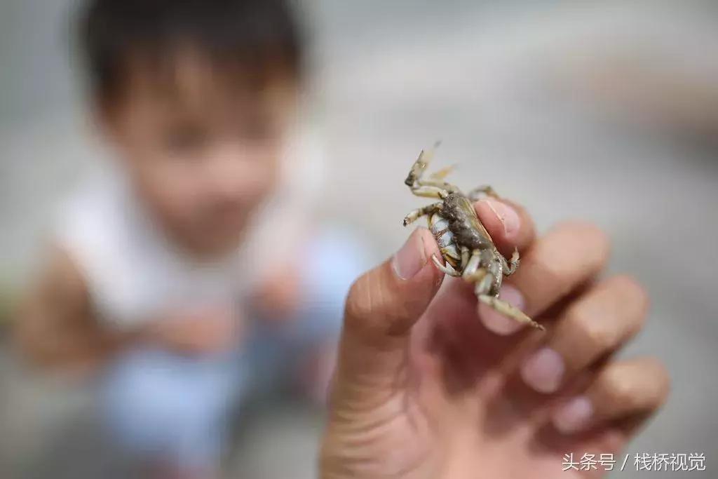 开海了！抖音上的小姐姐，来烟台吧！海鲜管够……