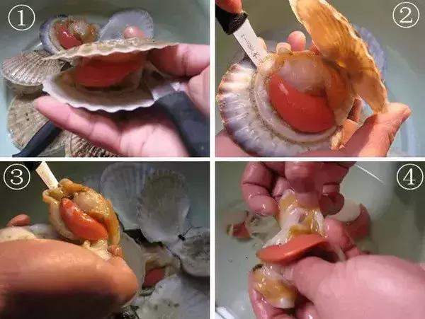 开海了！抖音上的小姐姐，来烟台吧！海鲜管够……