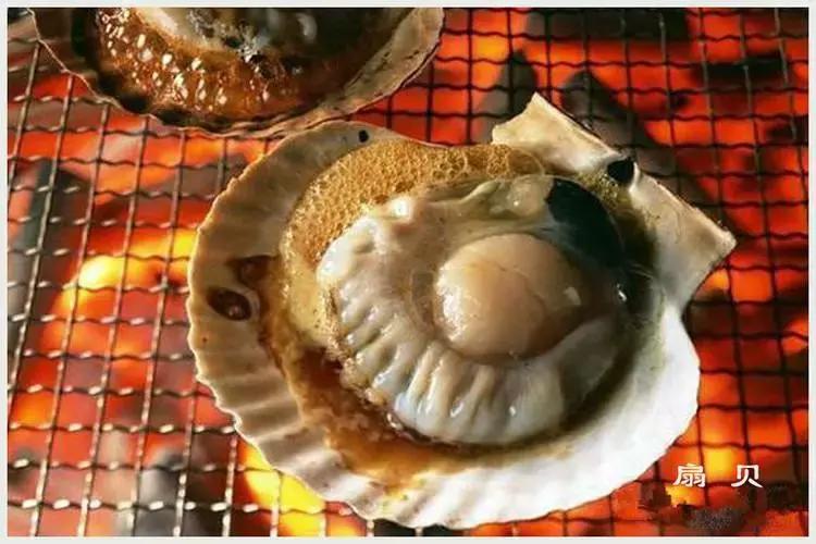 开海了！抖音上的小姐姐，来烟台吧！海鲜管够……