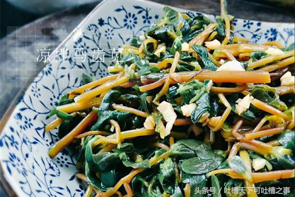 马齿苋凉拌菜方法,凉拌马齿苋怎么做才好吃呢