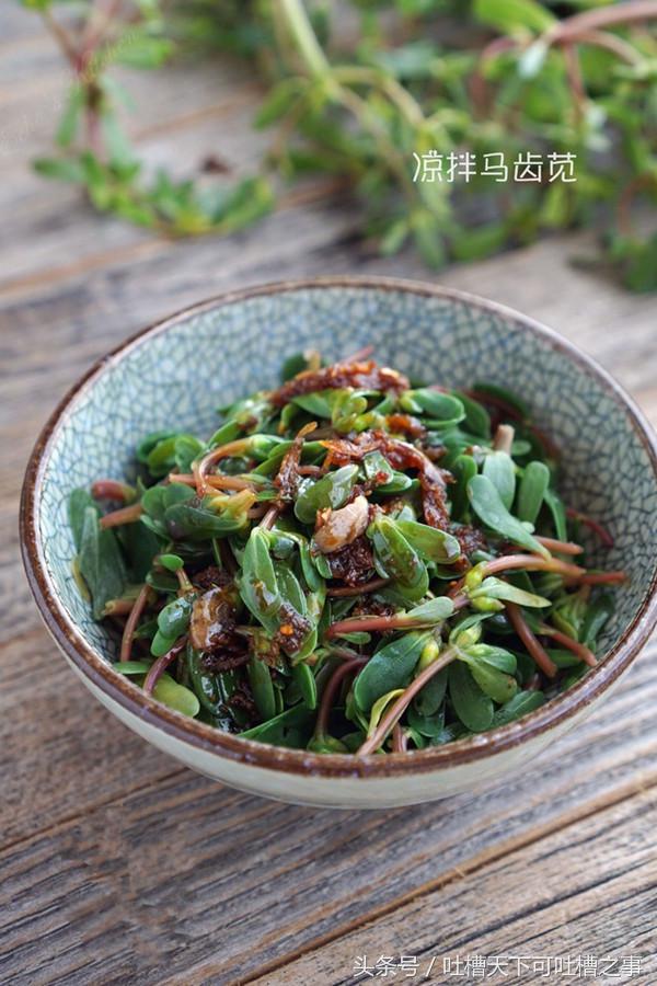 马齿苋凉拌菜方法,凉拌马齿苋怎么做才好吃呢