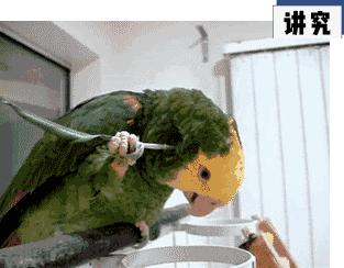 私人医院都有什么服务,正经医院