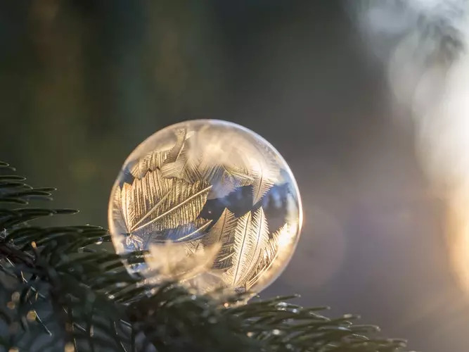 白露｜秋荷一滴露，露自何处来？