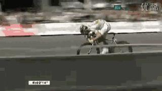 开学季汽车推荐,开学季10款进阶公路车推荐