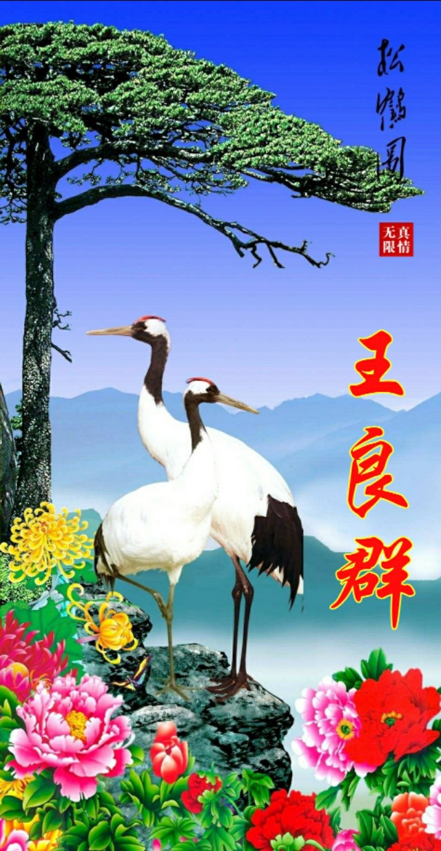 松鹤延年国画寓意,松鹤延年花语