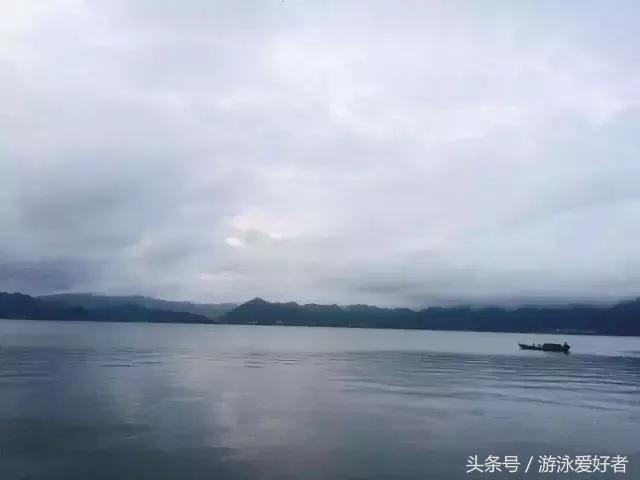 公开水域游泳技巧视频,公开水域自由泳游泳技巧