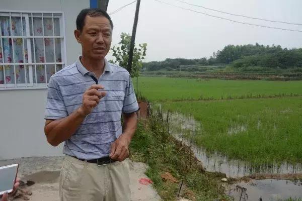 养殖青蛙10万元,养1万只青蛙利润