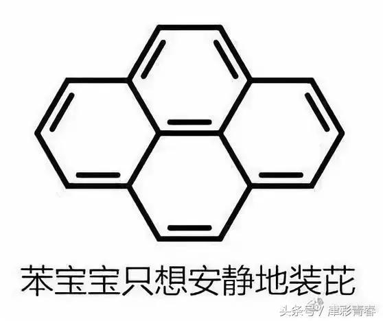 我们是受过专业训练的表情包,我们都受过专业的训练表情包