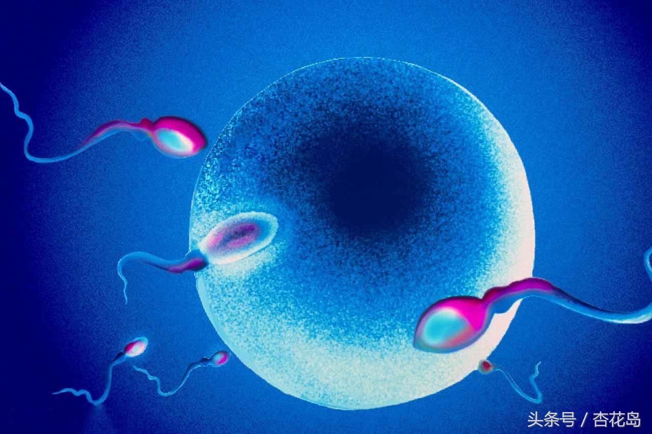 阴道炎会对女性怀孕有影响吗,女性阴道炎会让男性感染吗