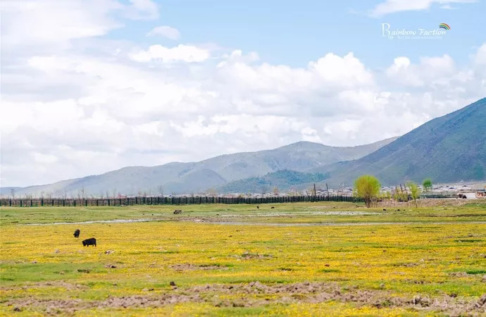我存了256G的小黄片想和你深夜一起看