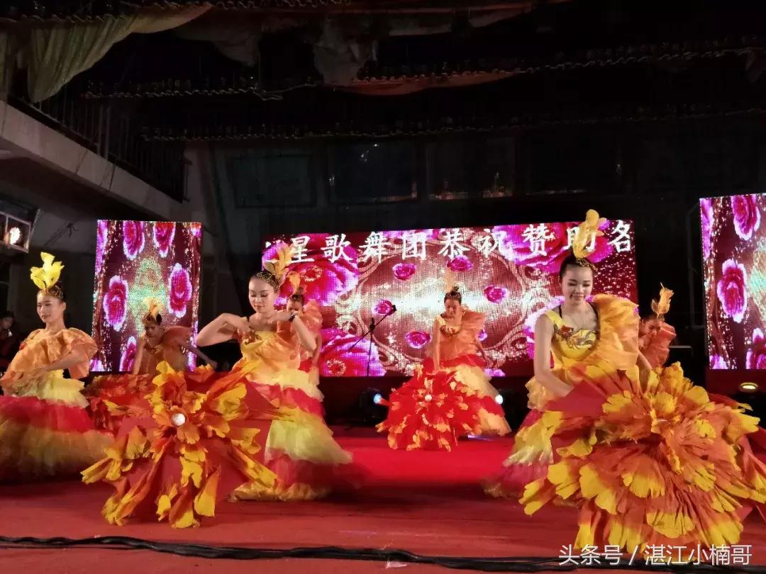 杨家镇安榄村外嫁姐妹回娘家聚会,雷州官茂村姐妹回娘家