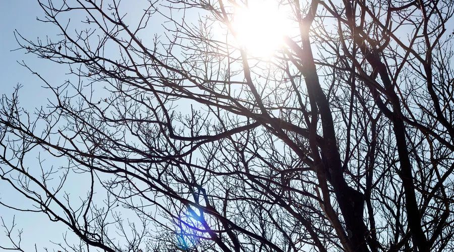 抗癌荆棘路,一位癌症患者的神奇康复之路