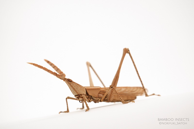 日本手工艺人NoriyukiSaitoh用竹子创造出逼真的昆虫模型