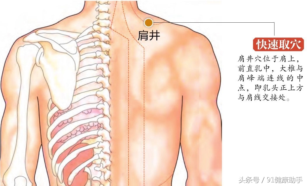 背上对应乳腺的穴位,乳腺背部按摩穴